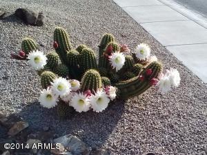 3274 E Fruitvale Ave, Gilbert, AZ 85297 photo 45