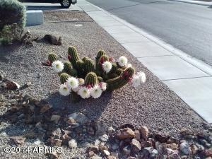 3274 E Fruitvale Ave, Gilbert, AZ 85297 photo 46