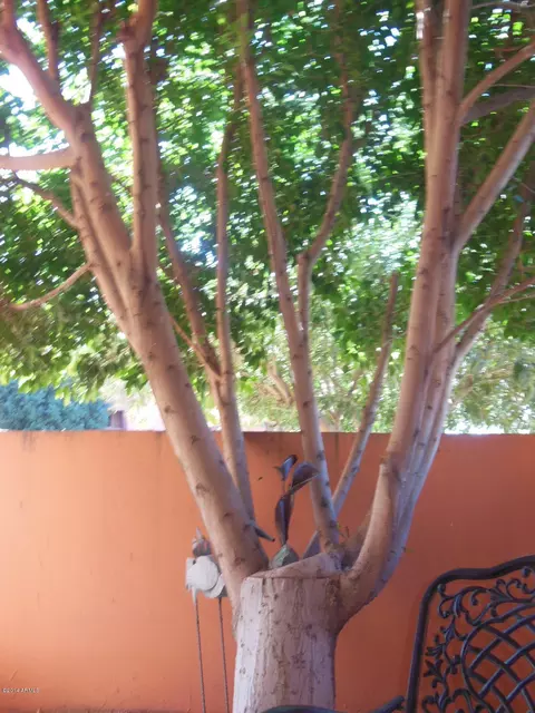 4303 E Cactus Rd #119, Phoenix, AZ 85032 photo 28