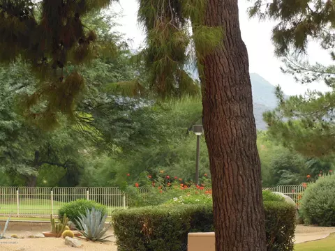 4303 E Cactus Rd #119, Phoenix, AZ 85032 photo 19