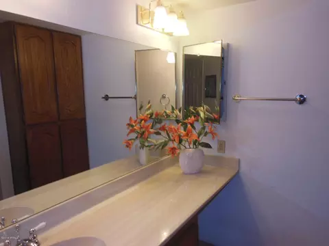 4303 E Cactus Rd #119, Phoenix, AZ 85032 photo 9
