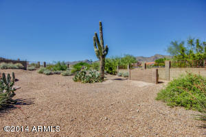 3728 E Cherokee Ct, Phoenix, AZ 85044 photo 55