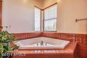3728 E Cherokee Ct, Phoenix, AZ 85044 photo 34