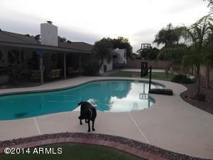 1734 E Huber St, Mesa, AZ 85203 photo 19
