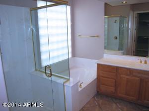 1831 E Desert Ln, Phoenix, AZ 85042 photo 19