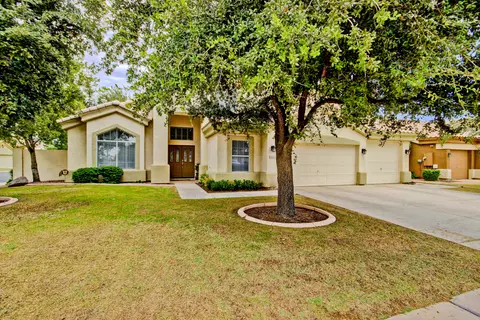 4434 E Olive Ave, Gilbert, AZ 85234 photo 4