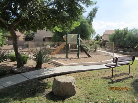 6647 E Rollins St, Mesa, AZ 85215 photo 21