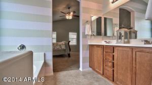859 S Del Rio Ct, Apache Junction, AZ 85120 photo 20