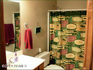 2332 Buffalo Loop N, Overgaard, AZ 85933 photo 11