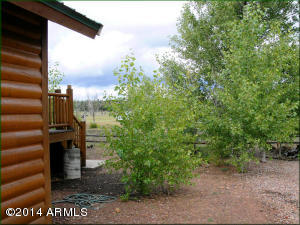 2332 Buffalo Loop N, Overgaard, AZ 85933 photo 3