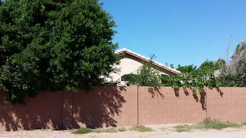 6547 E Auburn St, Mesa, AZ 85205 photo 5