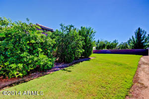 2239 E Randall Rd, Gilbert, AZ 85296 photo 44