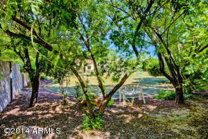 963 E Kramer St, Mesa, AZ 85203 photo 40