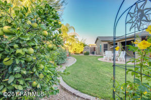 9910 E Pantera Ave, Mesa, AZ 85212 photo 38