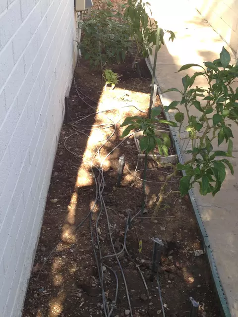 2105 E La Donna Dr, Tempe, AZ 85283 photo 25