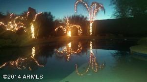 1431 E Red Range Way, Phoenix, AZ 85085 photo 48