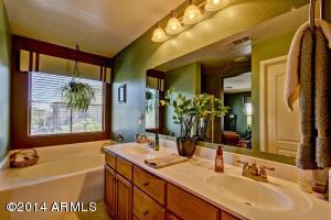 1689 Elgin St, Gilbert, AZ 85295 photo 28