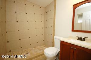 4736 E Hannibal St, Mesa, AZ 85205 photo 10
