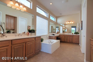 4356 E Ficus Way, Gilbert, AZ 85298 photo 14