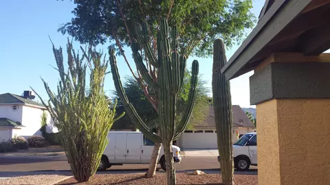 1714 E Darrel Rd, Phoenix, AZ 85042 photo 15