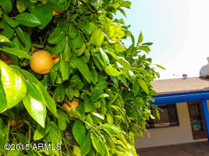 1878 E Cornell Dr, Tempe, AZ 85283 photo 42
