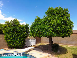 1878 E Cornell Dr, Tempe, AZ 85283 photo 39