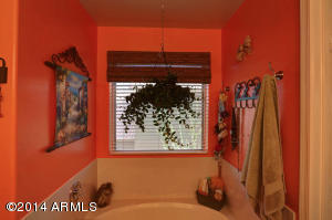 7402 E Medina Ave, Mesa, AZ 85209 photo 15