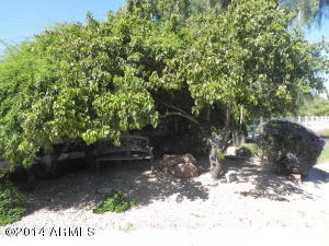 2017 E Page Ave, Gilbert, AZ 85234 photo 6