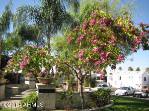 7750 E Broadway Rd #204, Mesa, AZ 85208 photo 13