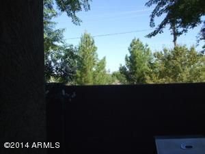 2852 E Dunbar Dr, Phoenix, AZ 85042 photo 29