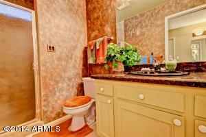 5017 E Summer Moon Ln, Phoenix, AZ 85044 photo 23