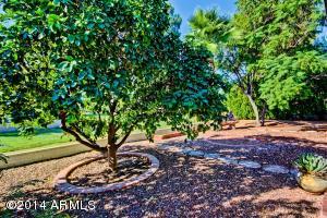 5017 E Summer Moon Ln, Phoenix, AZ 85044 photo 26
