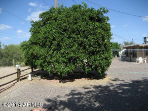 5316 E Colby St, Mesa, AZ 85205 photo 26