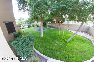 1079 E Hopkins Rd, Gilbert, AZ 85295 photo 8