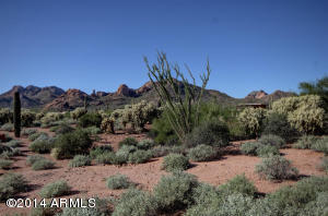 1142 E Moon Vista St, Apache Junction, AZ 85119 photo 32