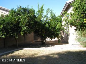 697 W Constitution Dr, Gilbert, AZ 85233 photo 31