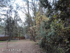 3805 N Hunt Dr, Pine, AZ 85544 photo 20