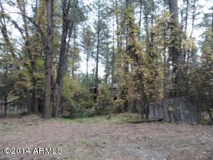 3805 N Hunt Dr, Pine, AZ 85544 photo 19