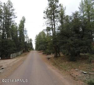 3805 N Hunt Dr, Pine, AZ 85544 photo 22