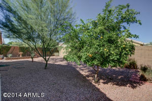 2232 E Aire Libre Ave, Phoenix, AZ 85022 photo 10