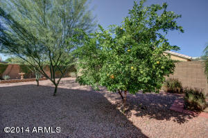 2232 E Aire Libre Ave, Phoenix, AZ 85022 photo 27