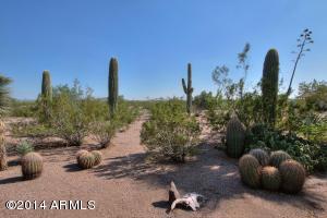 1380 S Goldfield Rd, Apache Junction, AZ 85119 photo 18