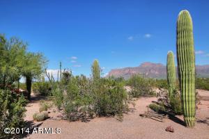 1380 S Goldfield Rd, Apache Junction, AZ 85119 photo 15