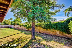 2243 E Adobe St, Mesa, AZ 85213 photo 48