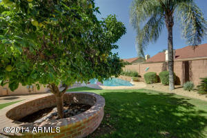 3116 E Minton St, Mesa, AZ 85213 photo 33