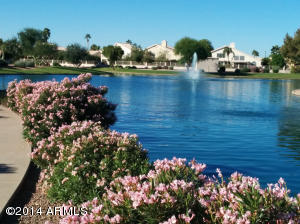 613 S Oak St, Gilbert, AZ 85233 photo 37