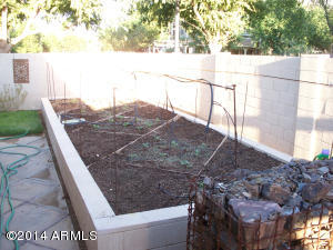 613 S Oak St, Gilbert, AZ 85233 photo 34