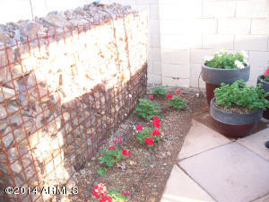 613 S Oak St, Gilbert, AZ 85233 photo 31