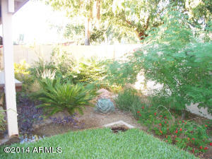 613 S Oak St, Gilbert, AZ 85233 photo 28