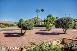 1041 E Meadow Ln, Phoenix, AZ 85022 photo 6